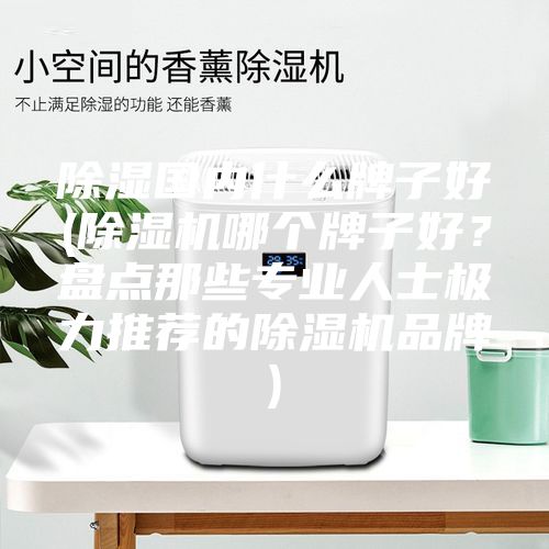 除湿国内什么牌子好(除湿机哪个牌子好？盘点那些专业人士极力推荐的除湿机品牌)