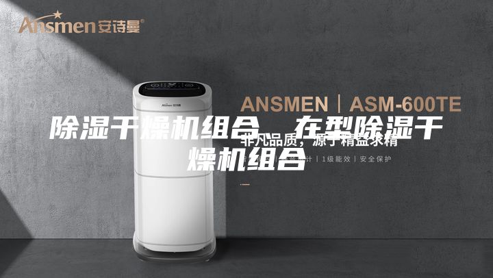 除湿干燥机组合、在型除湿干燥机组合