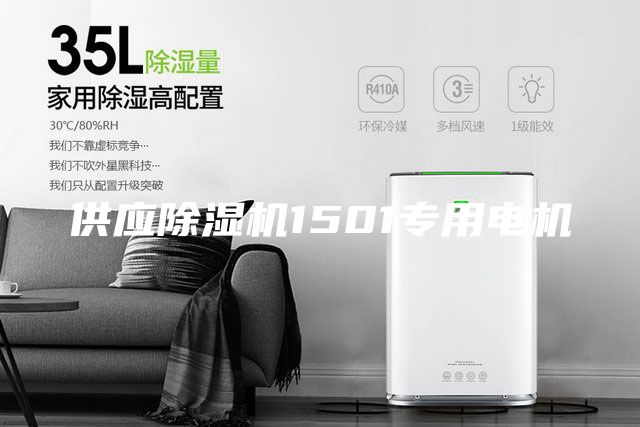 供应除湿机1501专用电机