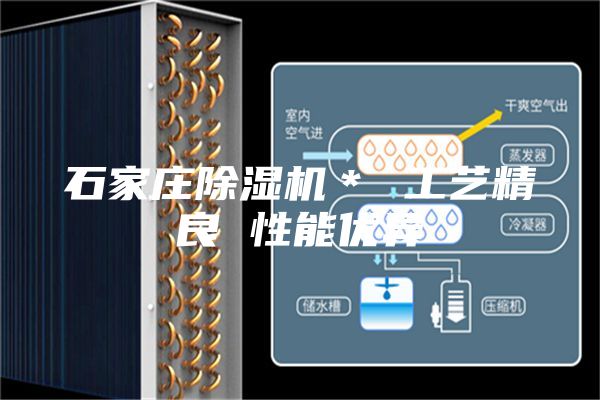 石家庄除湿机＊ 工艺精良 性能优异
