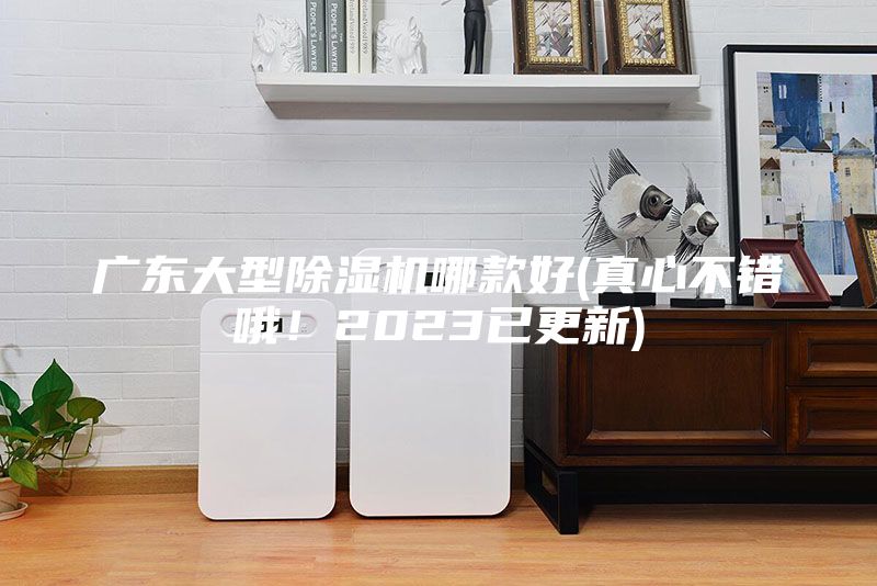 广东大型除湿机哪款好(真心不错哦！2023已更新)