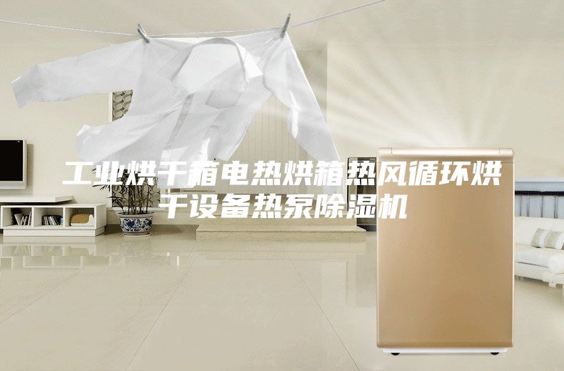 工业烘干箱电热烘箱热风循环烘干设备热泵除湿机