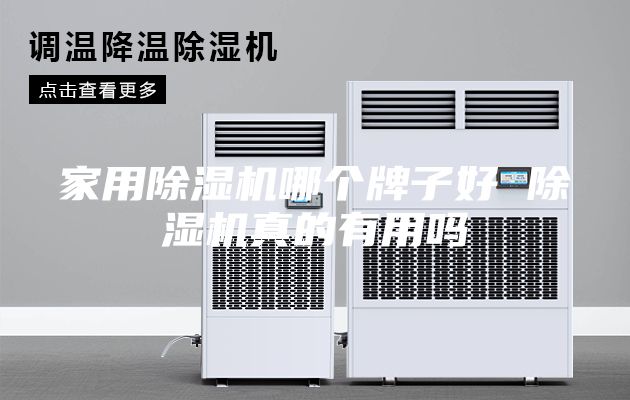 家用除湿机哪个牌子好 除湿机真的有用吗
