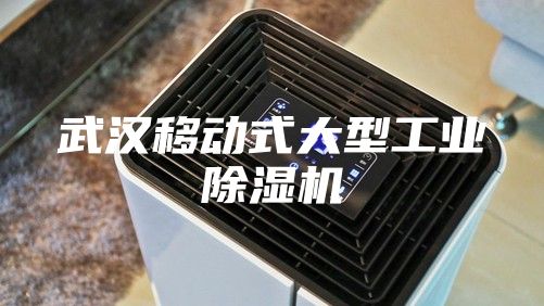 武汉移动式大型工业除湿机