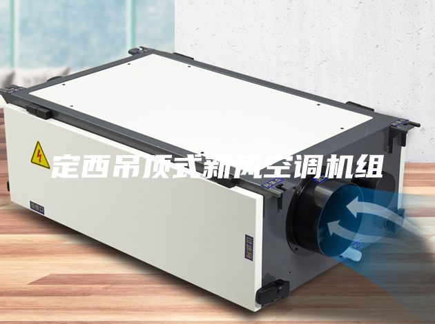 定西吊顶式新风空调机组