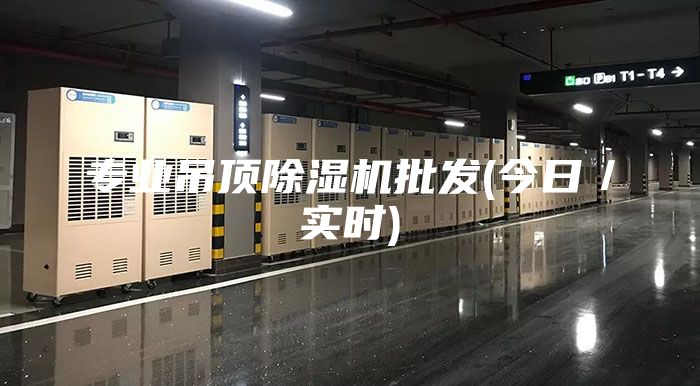 专业吊顶除湿机批发(今日／实时)