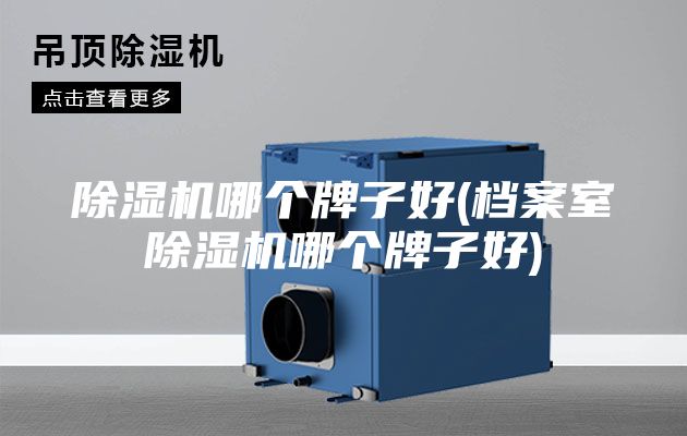 除湿机哪个牌子好(档案室除湿机哪个牌子好)