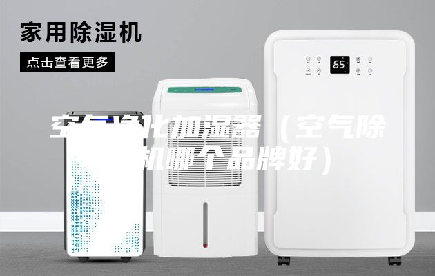 空气净化加湿器（空气除湿机哪个品牌好）
