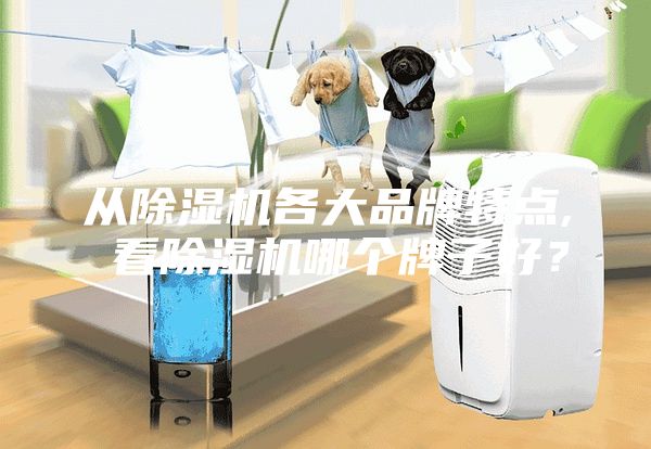从除湿机各大品牌特点, 看除湿机哪个牌子好？