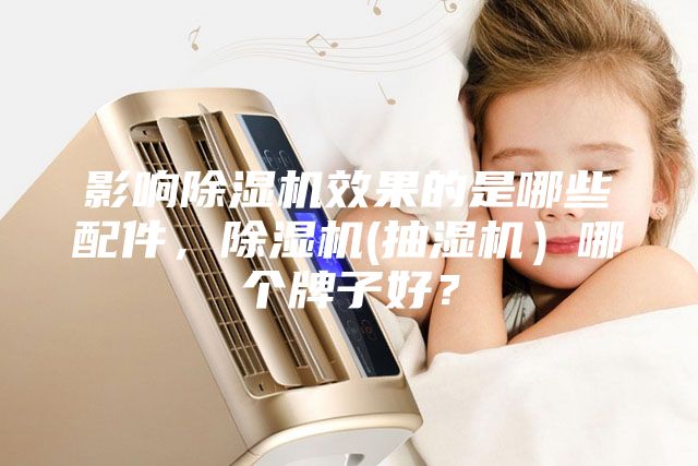 影响除湿机效果的是哪些配件，除湿机(抽湿机）哪个牌子好？