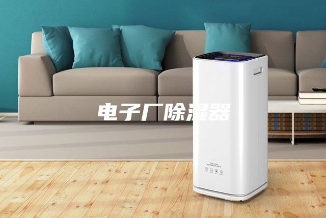 电子厂除湿器