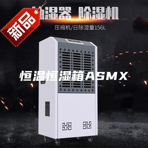 恒温恒湿箱ASMX