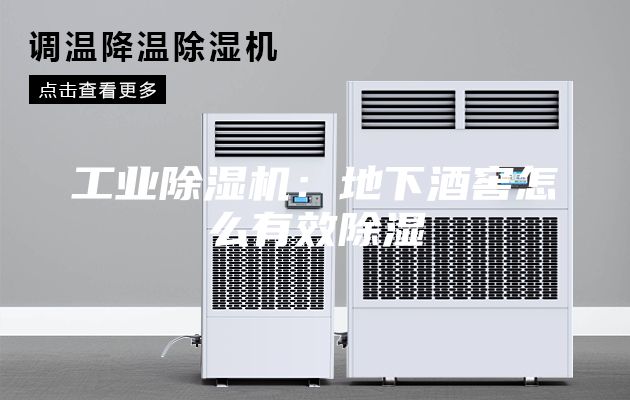 工业除湿机：地下酒窖怎么有效除湿