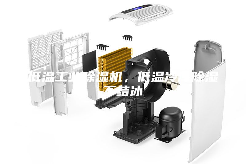 低温工业除湿机，低温冷库除湿不结冰