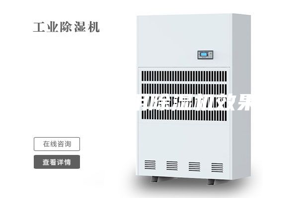 除湿机家用除湿机效果