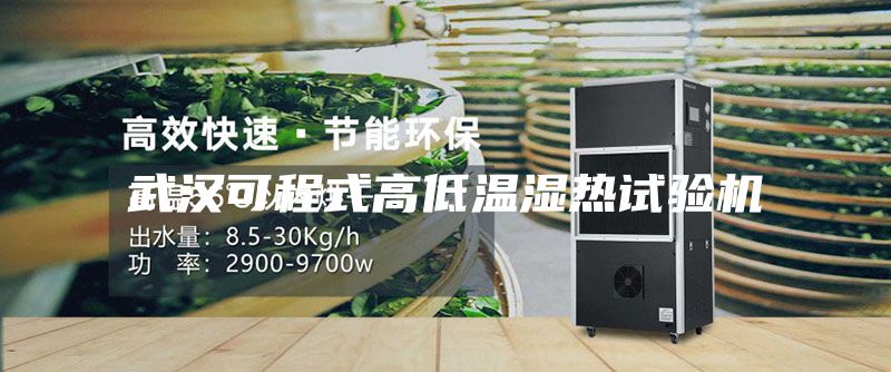 武汉可程式高低温湿热试验机