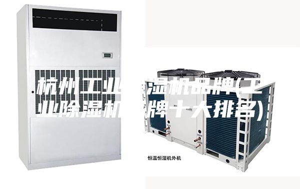 杭州工业除湿机品牌(工业除湿机品牌十大排名)