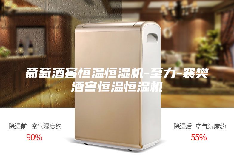 葡萄酒窖恒温恒湿机-至力-襄樊酒窖恒温恒湿机