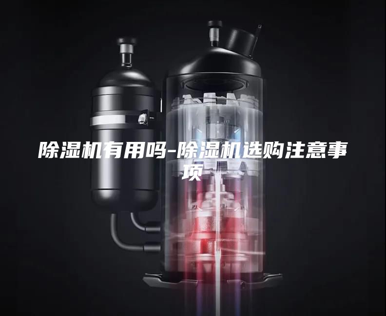 除湿机有用吗-除湿机选购注意事项