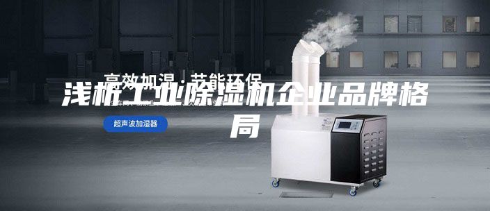 浅析工业除湿机企业品牌格局