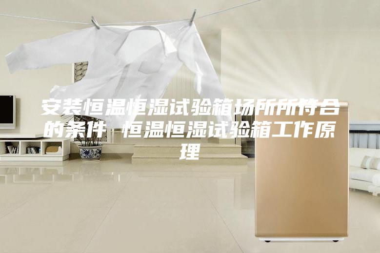 安装恒温恒湿试验箱场所所符合的条件 恒温恒湿试验箱工作原理