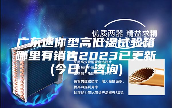 广东迷你型高低温试验箱哪里有销售2023已更新(今日／咨询)