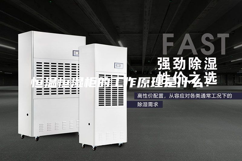 恒温恒湿柜的工作原理是什么？