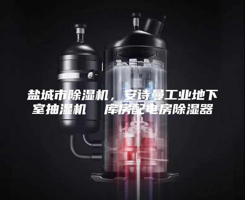 盐城市除湿机，安诗曼工业地下室抽湿机  库房配电房除湿器