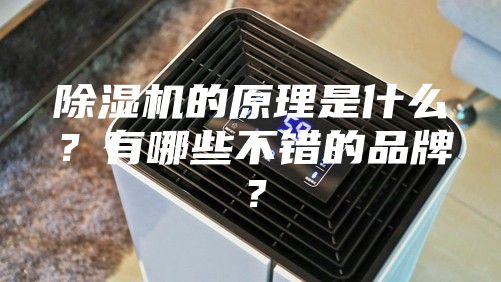 除湿机的原理是什么？有哪些不错的品牌？