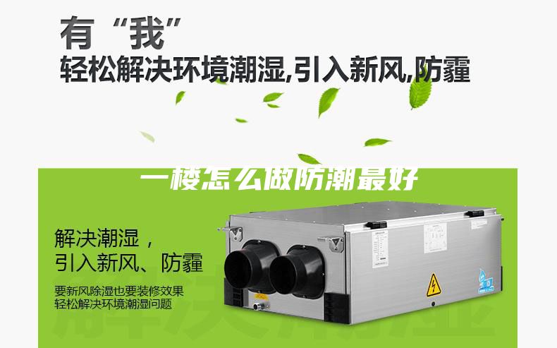 一楼怎么做防潮最好