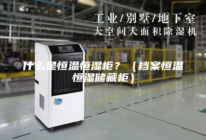 什么是恒温恒湿柜？（档案恒温恒湿储藏柜）