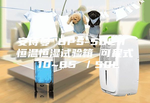安诗曼 BPS-50CH 恒温恒湿试验箱 可程式 10~85℃／50L