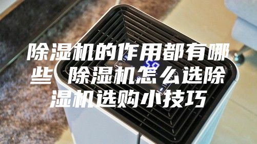 除湿机的作用都有哪些 除湿机怎么选除湿机选购小技巧