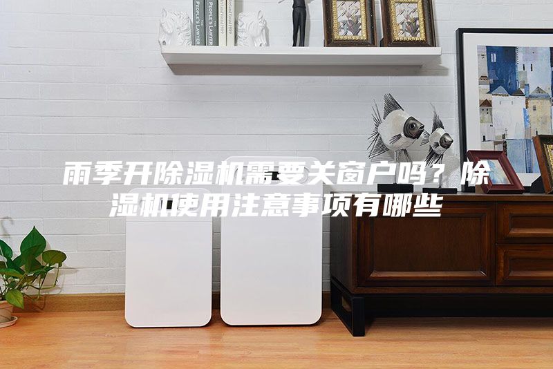 雨季开除湿机需要关窗户吗？除湿机使用注意事项有哪些