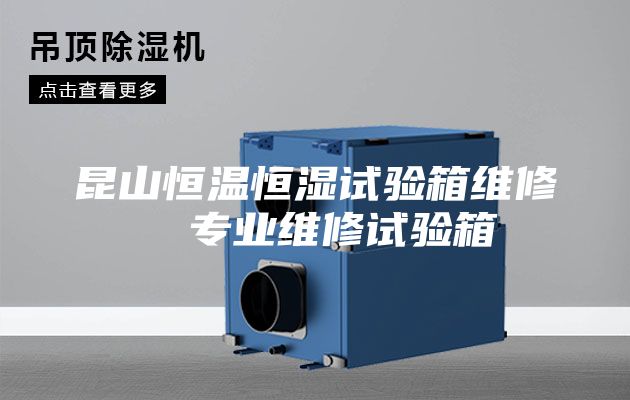 昆山恒温恒湿试验箱维修  专业维修试验箱