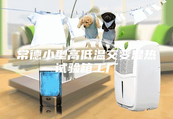 常德小型高低温交变湿热试验箱工厂