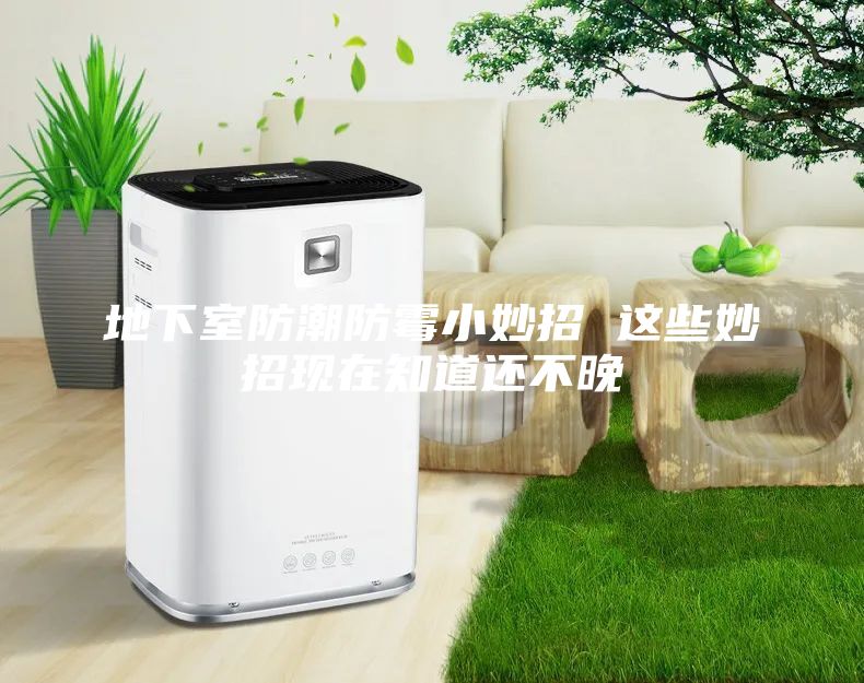 地下室防潮防霉小妙招 这些妙招现在知道还不晚