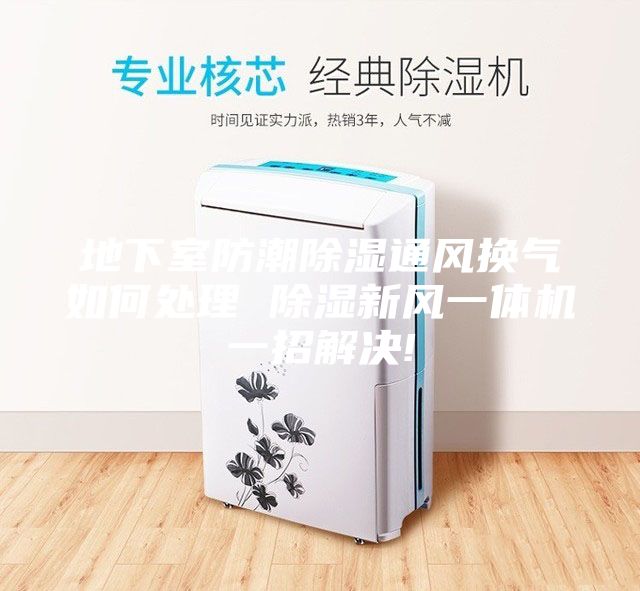 地下室防潮除湿通风换气如何处理 除湿新风一体机一招解决!