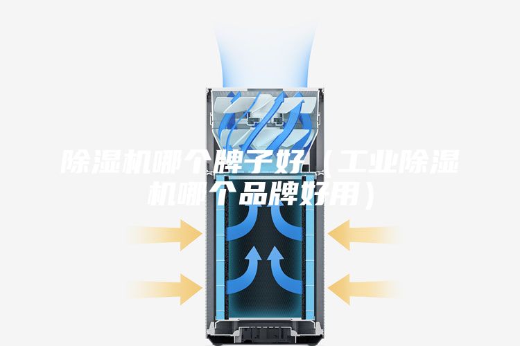 除湿机哪个牌子好（工业除湿机哪个品牌好用）