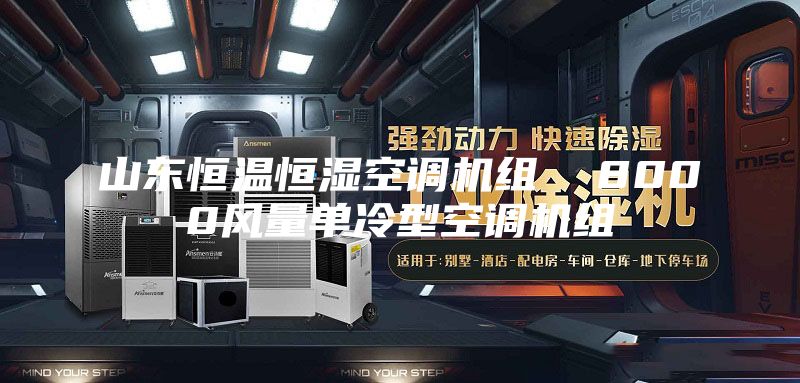 山东恒温恒湿空调机组  8000风量单冷型空调机组