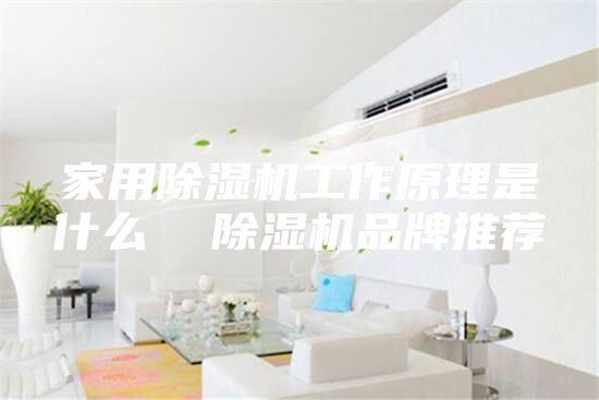 家用除湿机工作原理是什么  除湿机品牌推荐