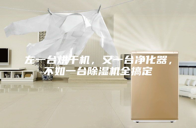 左一台烘干机，又一台净化器，不如一台除湿机全搞定
