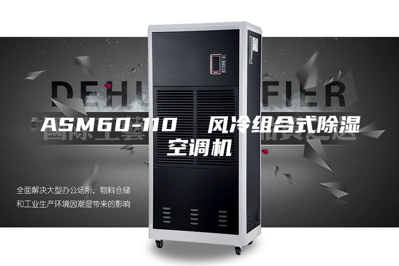 ASM60-110  风冷组合式除湿空调机