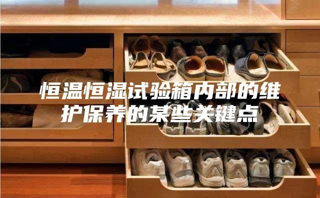 恒温恒湿试验箱内部的维护保养的某些关键点