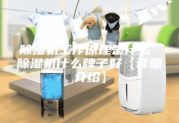 除湿机工作原理是什么 除湿机什么牌子好【详细介绍】