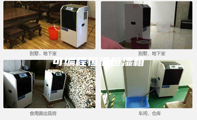 可编程恒温恒湿箱