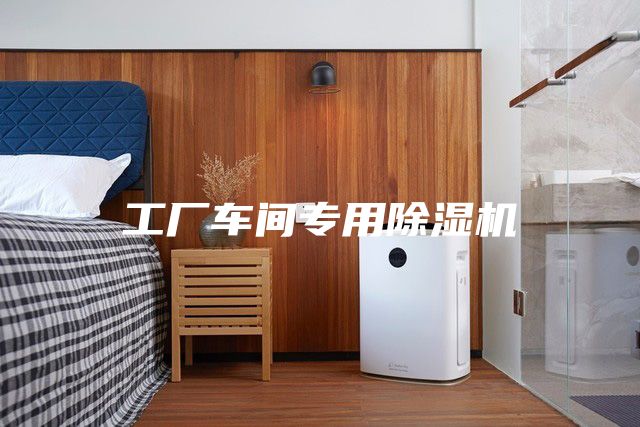 工厂车间专用除湿机