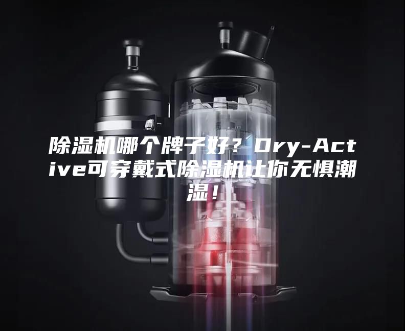 除湿机哪个牌子好？Dry-Active可穿戴式除湿机让你无惧潮湿！