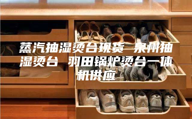 蒸汽抽湿烫台现货 泉州抽湿烫台 羽田锅炉烫台一体机供应