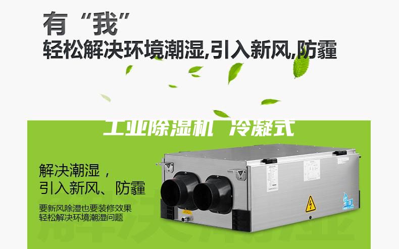 工业除湿机 冷凝式